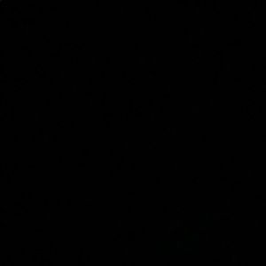 Meet your Posher, Samuel